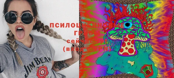 гидра Тихвин