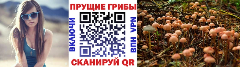 Галлюциногенные грибы мухоморы  Купить где  Тында 