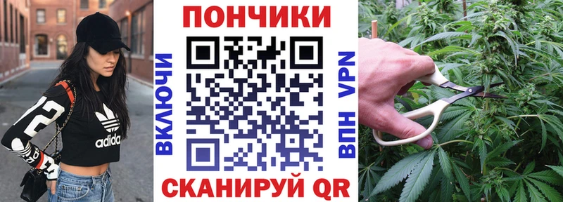 Купить  Тында  Бошки Шишки сатива 